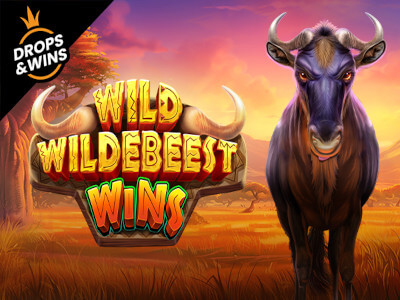 Casino mines